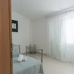 Iva * Traù